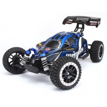 Remo Hobby Baggy Scorpion Racing Standard 4WD RTR 1:8